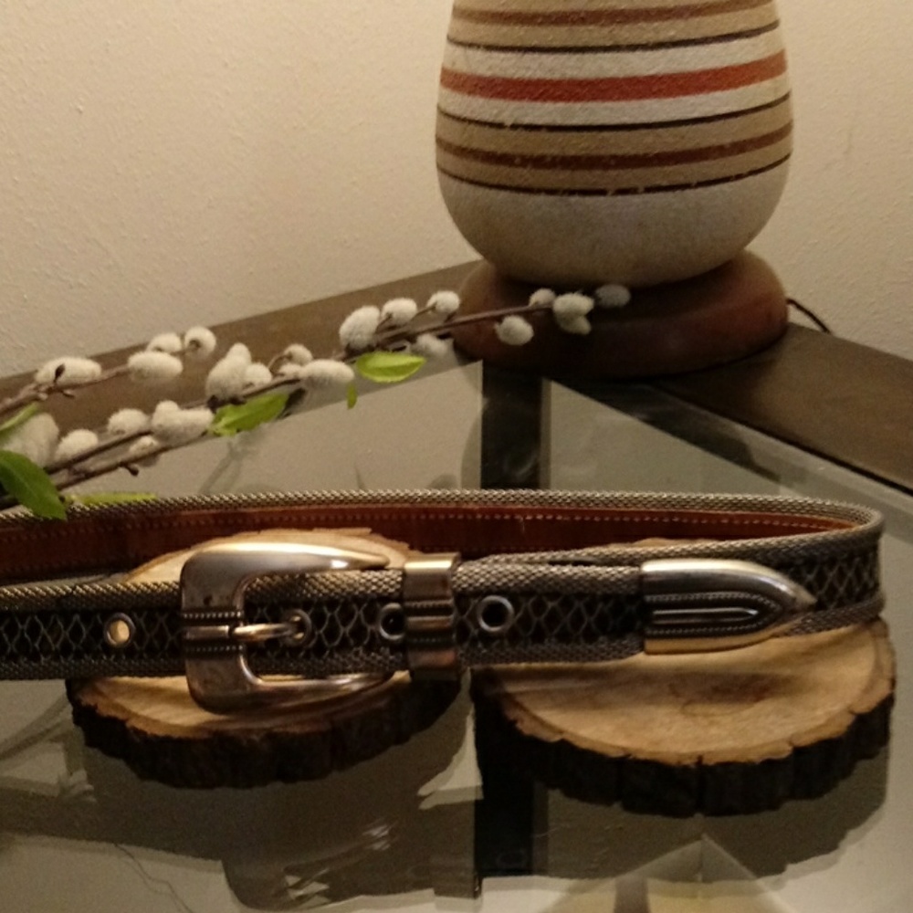 Vintage 90's snakeskin/ hardware belt